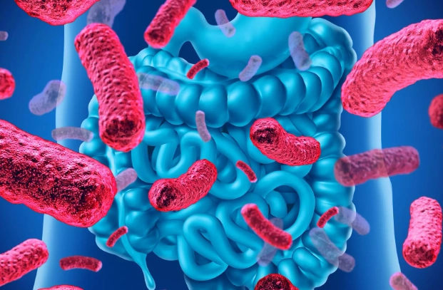 best probiotic for halitosis