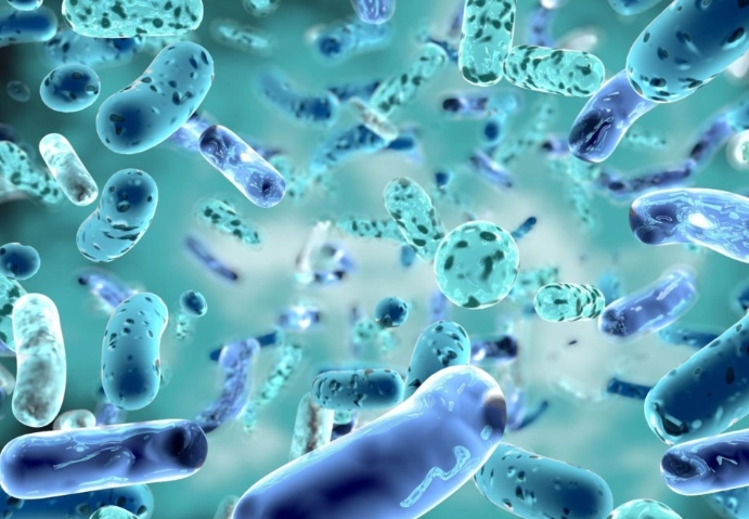 probiotics for bad breath