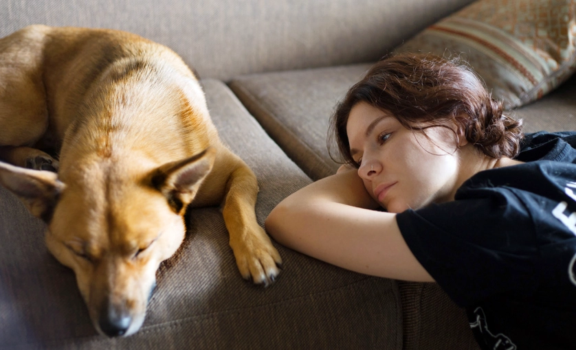 toothache emergency toothache emergency