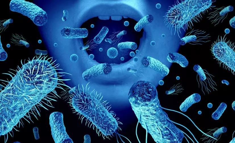 e-gingivalis transmission