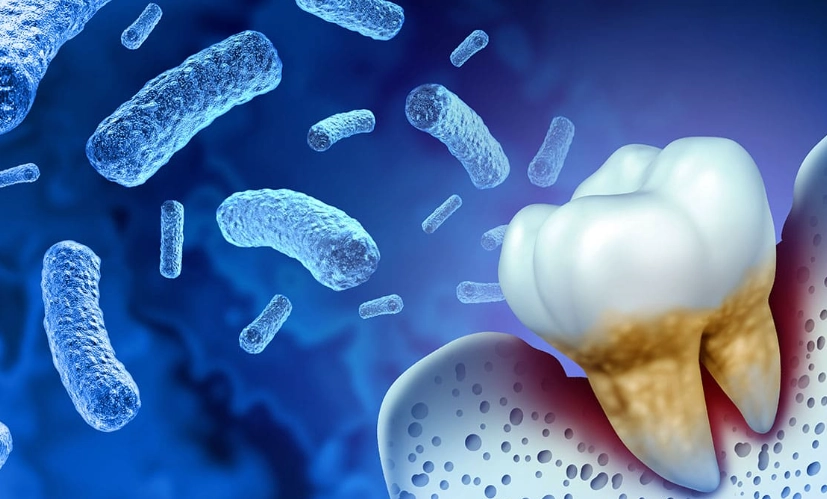 e-gingivalis transmission