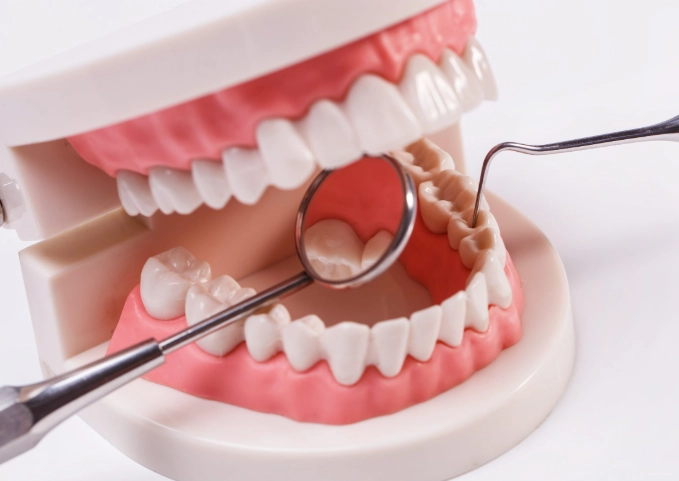 vitamin D deficiency teeth